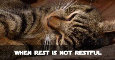Fibromyalgia: When Rest Is Not Restful
