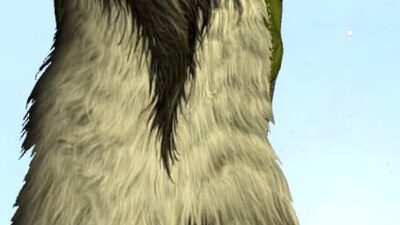 Spiral-Horned Snow-Beast Cloak (Back)