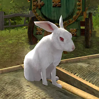 Tome of the White Hare Pet
