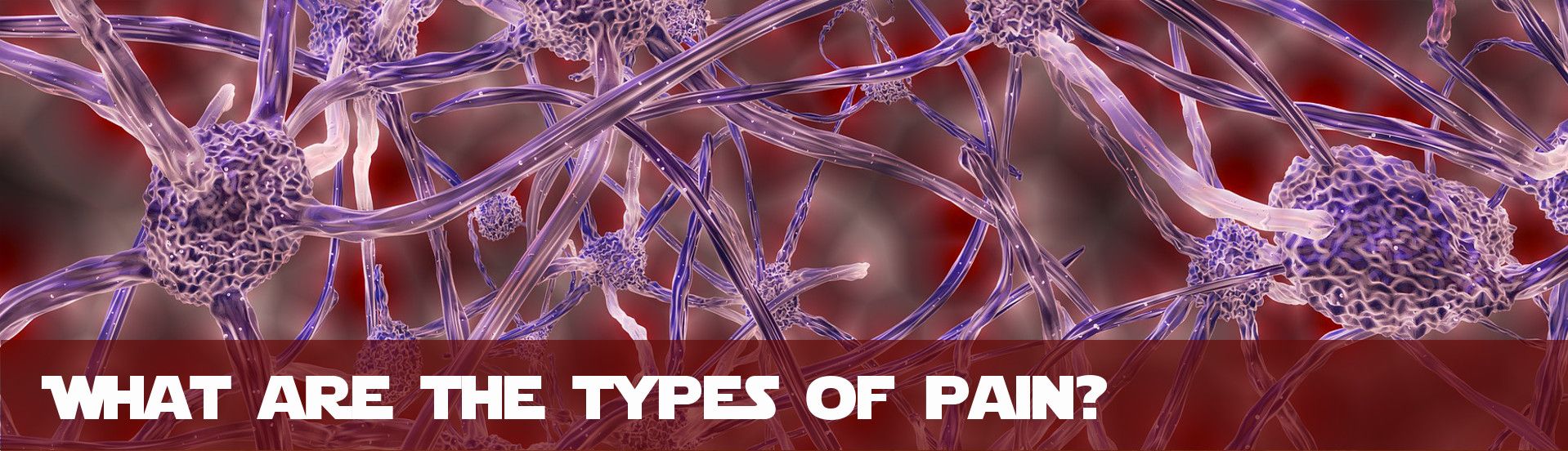 What are the different types of pain?
