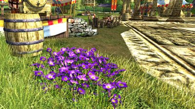 Collect Purple Anorloth flowers for the Herbalists