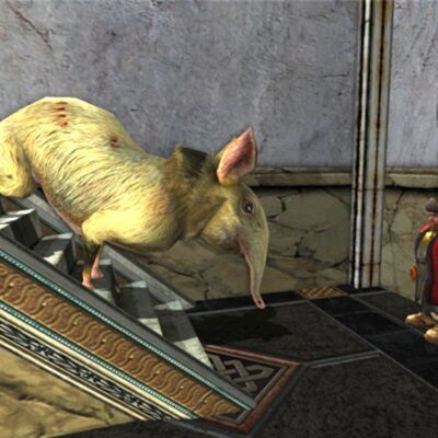 Tome of the Large Shrew, Pet