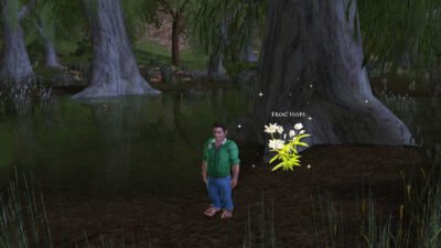 Collecting Frog Hops in Frogmorton in the Shire - LOTRO