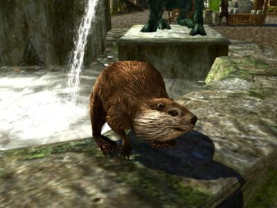 Tome of the <strong>Beaver</strong> - LOTRO Anniversary Cosmetic Pet Reward