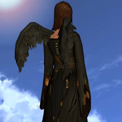 Cosmetic Raven Wings - Back Cosmetic for Harvestmath Festival 2020