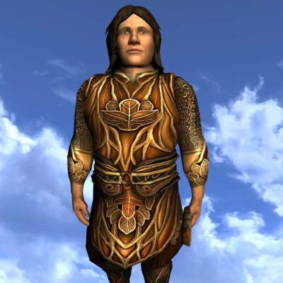 Tunic of the Leaf Turner - Male Hobbit - Upper Body Cosmetic