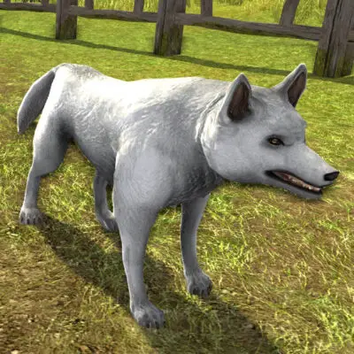 Tome of the White Wolf Dog - Cosmetic Pet for 75 Tokens - new to 2019