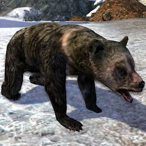 Tome of the Brown Bear Cub Pet