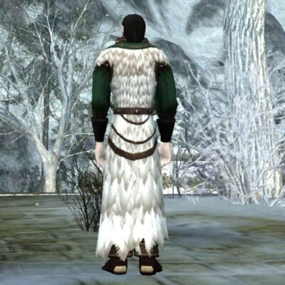 Vestments of the Northern Sky (Back) LOTRO 2018 Yule Cosmetic