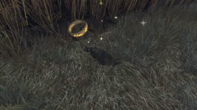 Preventing a Murder - Wheat Maze quest - Pesky Crow