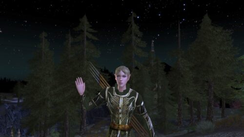 My Anor Warden Thandestal in the Courtly Lasgalen Tunic from the LOTRO Store
