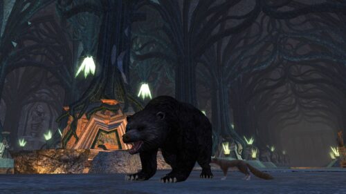 Lothver - one of my Beornings (in bear-form) in the Second Hall in Moria