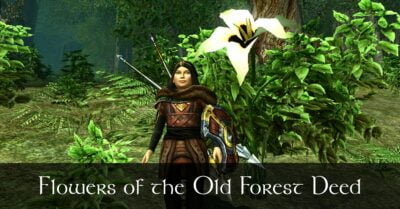 LOTRO Flowers of the Old Forest Deed - Map and Guide