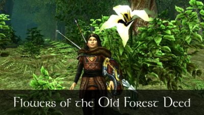 LOTRO Flowers of the Old Forest Deed - Map and Guide