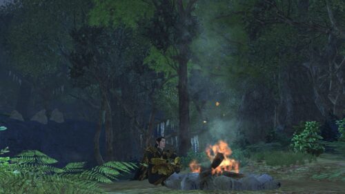 Caethir makes a campfire on the edge of the Old Forest