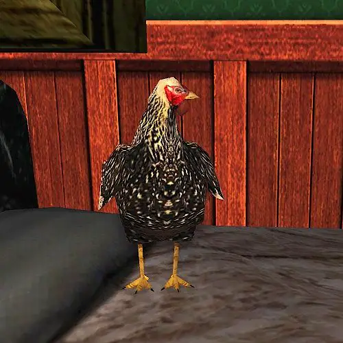 Dorking Chicken Cosmetic Pet - now available at the Buried Treasure Event