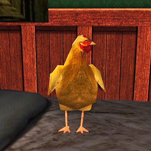 Red Chicken Cosmetic Pet - now available at the Buried Treasure Event