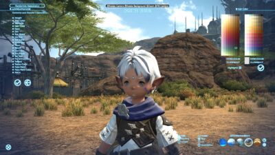 Character Creation in Final Fantasy 14, FFXIV, is extremely detailed!