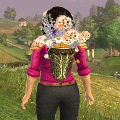 LOTRO Lasgalen Spring Pack, Back Cosmetic