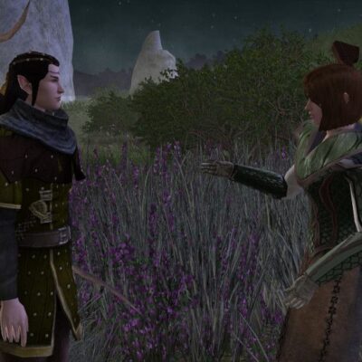Hanawen talks with Caethir