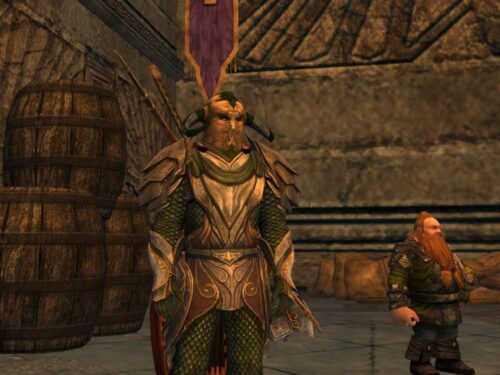 My Beorning, Lothver wearing Heavy Armour in Moria