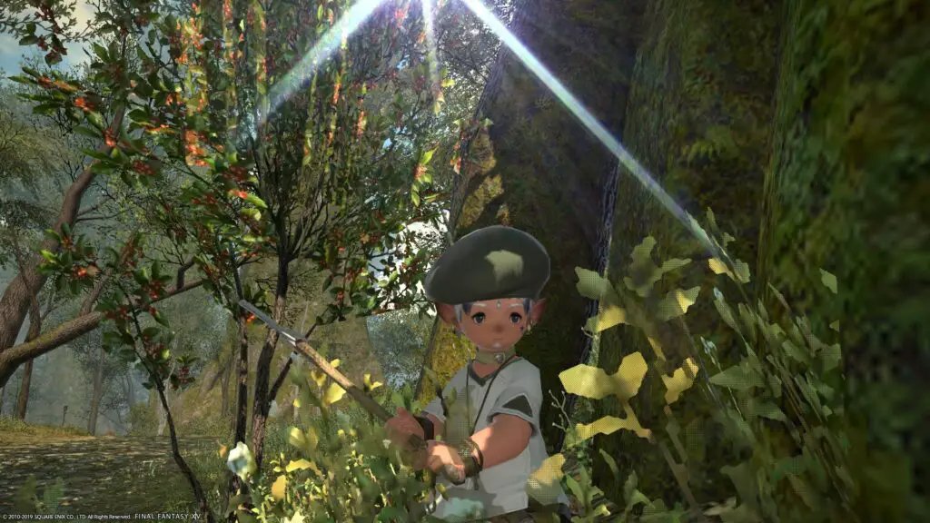 Crafting requires gathering first - here's my Lalafell Botanist in FFXIV