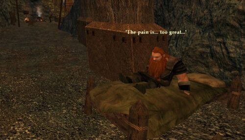 A Dwarf in Moria (LOTRO) says the Pain is too Great