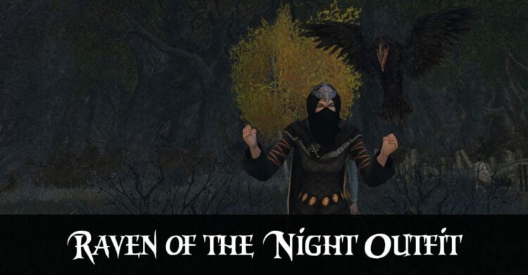 Raven of the Night - LOTRO Outfit Idea