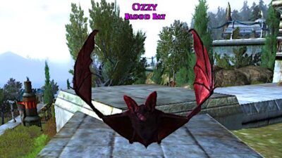 LOTRO Blood-Red Bat Pet