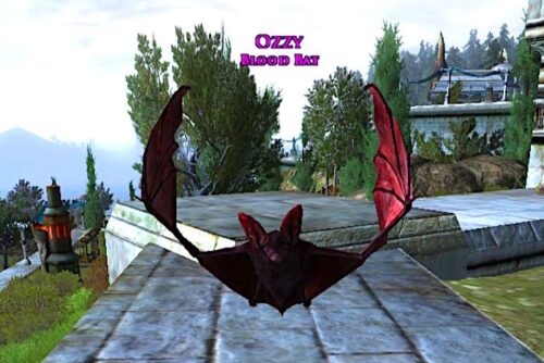 LOTRO Blood-Red Bat Pet