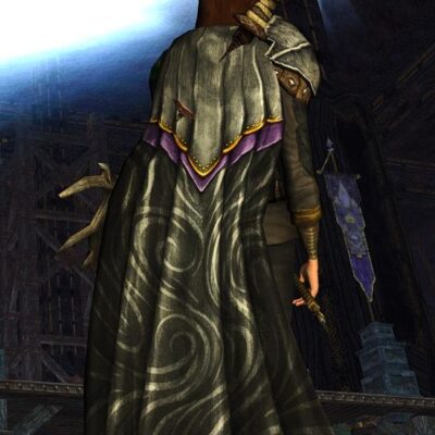 Cloak of Shadows Cosmetic - Hooded Version also available