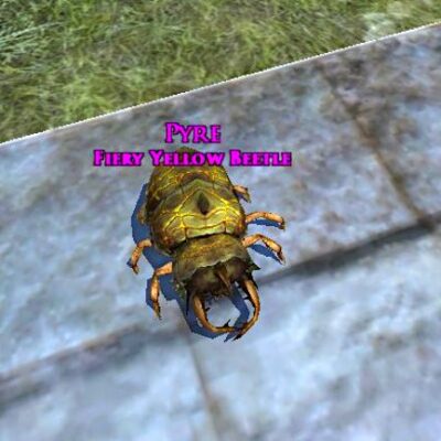 LOTRO Fiery Yellow Beetle Pet
