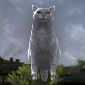 Tome of the <strong>Cozy Grey Cat</strong> - Anniversary Cosmetic Pet