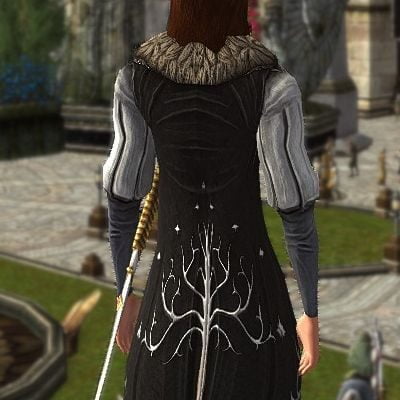 LOTRO Grooms Tunic (from the Back)