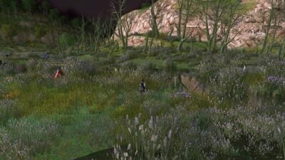 Ruby Fireflies can be found in this part of Rushock Bog in The Shire