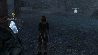 Obtain chunks of silver ore from veins in Silverdeep