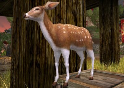 LOTRO Spotted Woodland Fawn - Cosmetic Pet - Farmers Faire