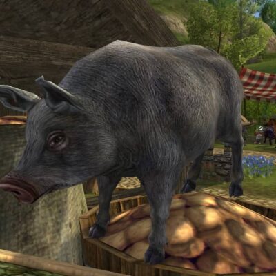 Tome of the Grey Pig Pet - LOTRO Farmers Faire Event