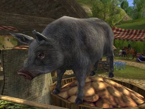 Tome of the Grey Pig Pet