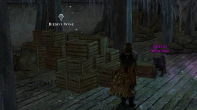 Bilbo's Wine is in the attic of the Haunted Burrow | Inn League Excavation