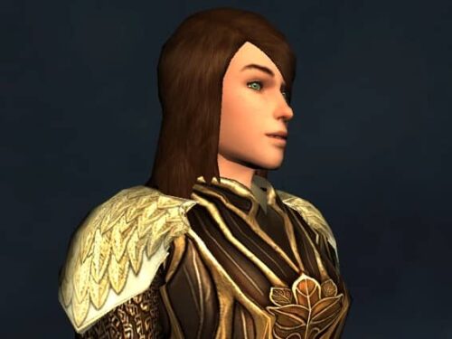 Autumn Leafmail Shoulders Cosmetic - LOTRO Fall Festival