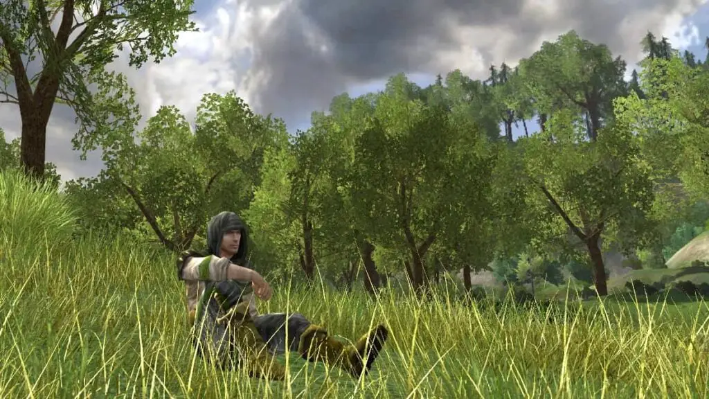 Halros Resting on the Grass in the Shire - LOTRO