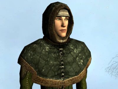 Hooded Mantle of Winter Drifts - Head and Shoulders Cosmetic