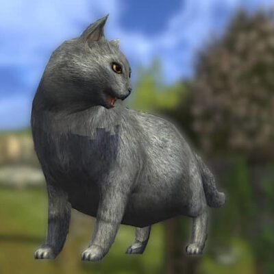 Cozy Grey Cat Pet (Side View)