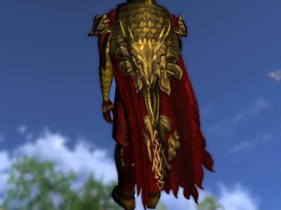 LOTRO Cloak of the Unflagging Dragon - Anniversary Back Cosmetic