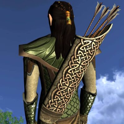 LOTRO Quiver of the Waking Wood - Anniversary Back Cosmetic