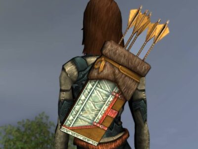 LOTRO Rugged Dwarf-Make Quiver - Anniversary Back Cosmetic (Steel Tokens)