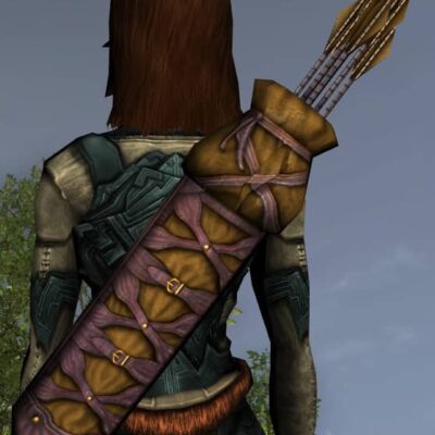 LOTRO Rugged Quiver - Anniversary Back Cosmetic (Steel Tokens)