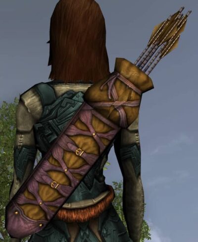 LOTRO Rugged Quiver - Anniversary Back Cosmetic (Steel Tokens)