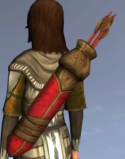 LOTRO Sturdy Quiver - Anniversary Back Cosmetic (Steel Tokens)